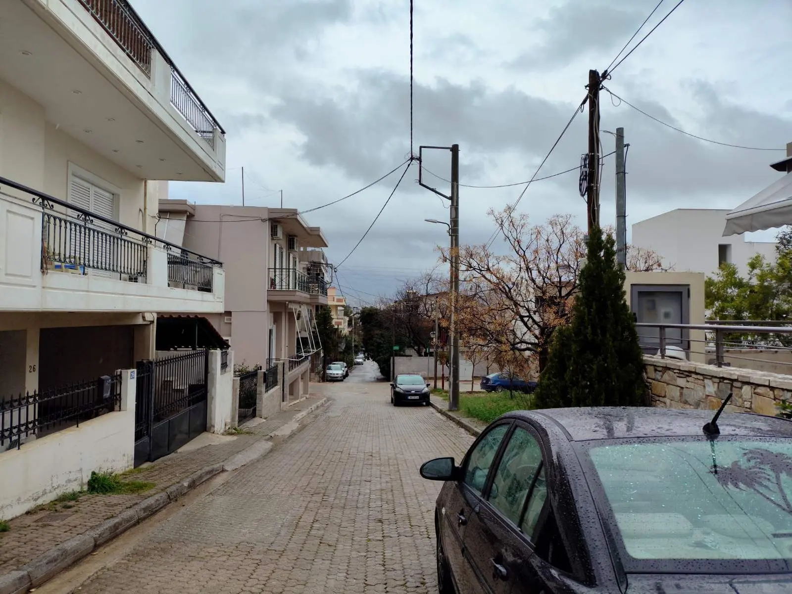 ZOFRIA_BROXI.webp